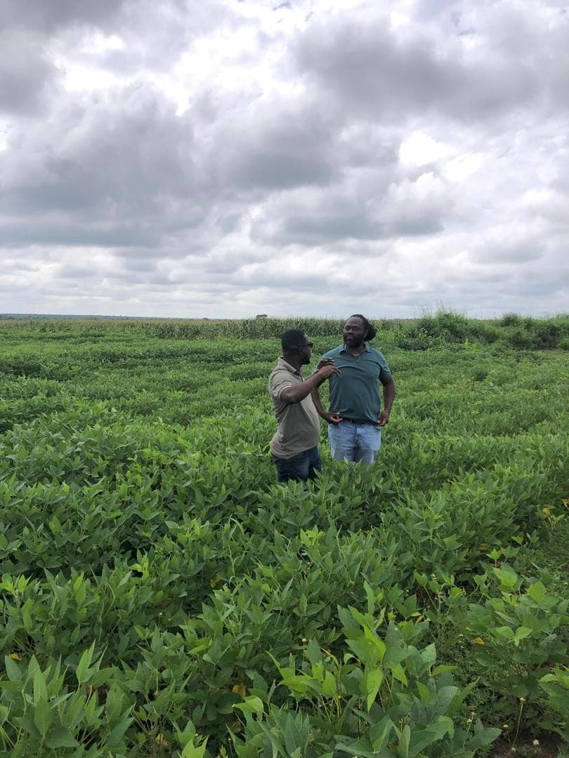 Field consultation on yield projections and harvest logistics