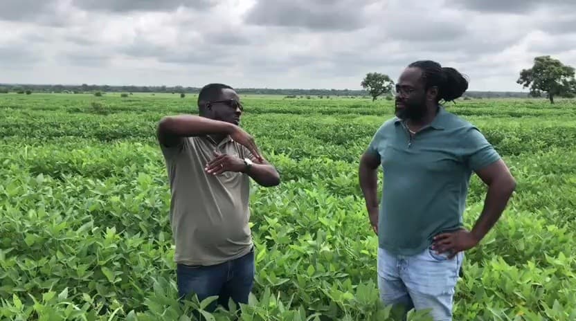 iFeed leadership and investor discussing crop development in the soybean field