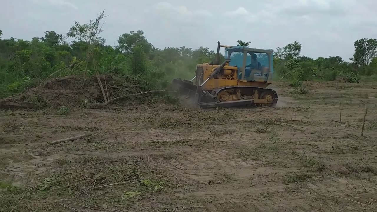A dozer clearing bush on a stretch of new land