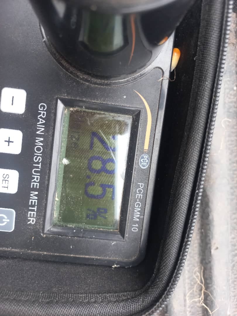 A moisture reading taken before deciding the field is ready to harvest
