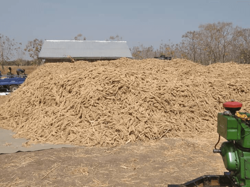 Post-harvest crop residue after processing